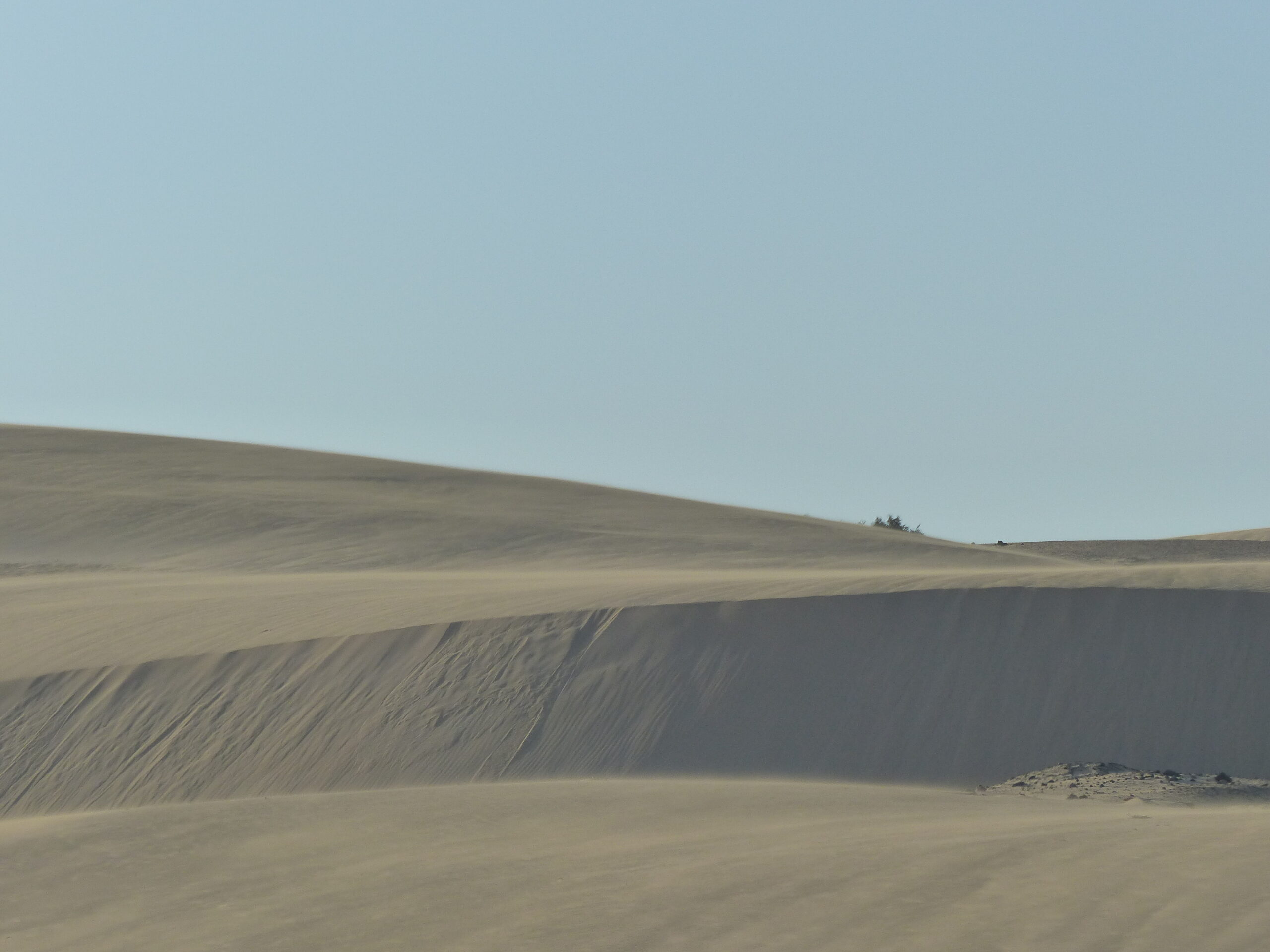 Fuerteventura vandring — vulkaniska landskap och bergsleder