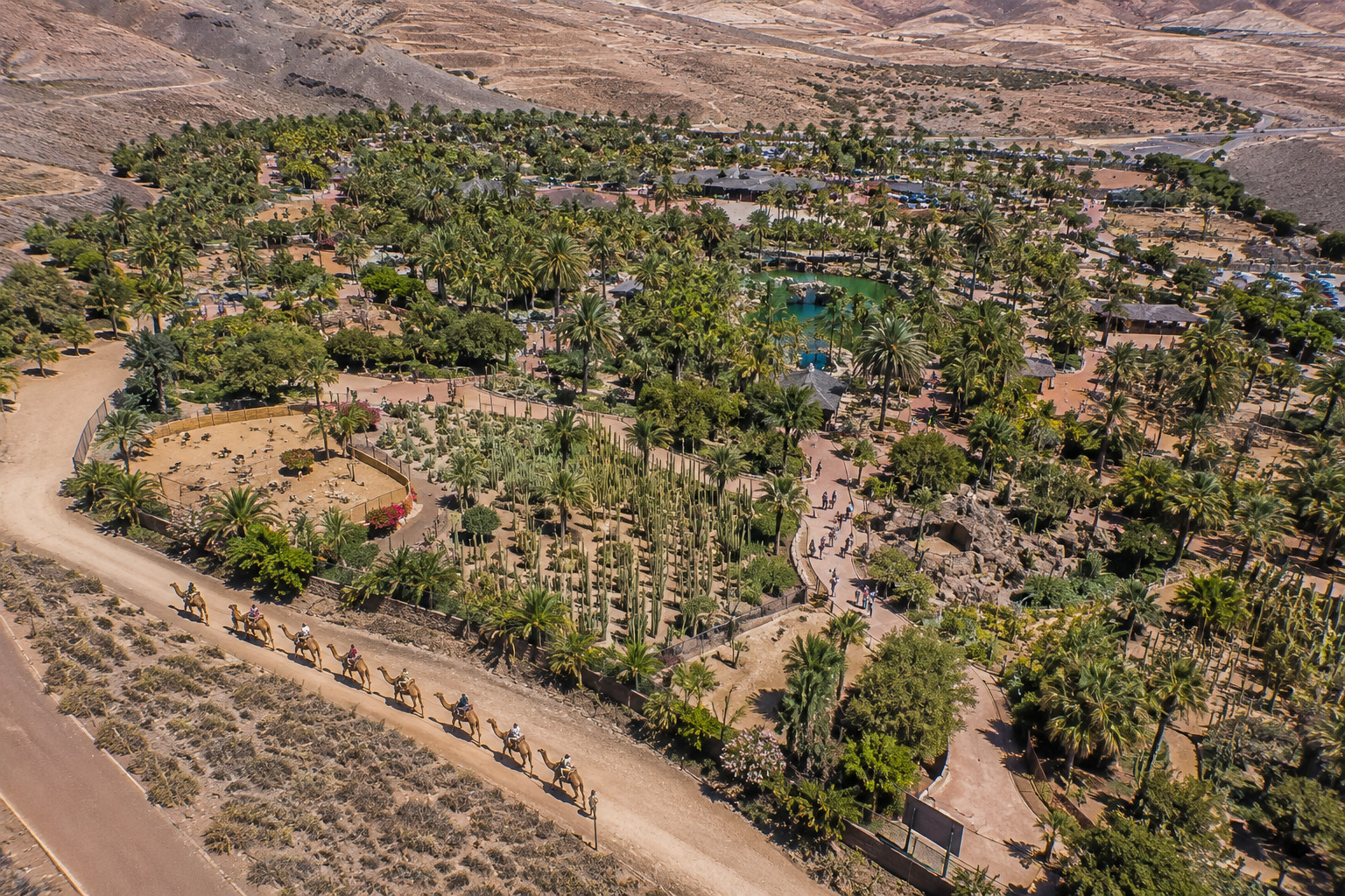 Oasis Wildlife helikoptervy